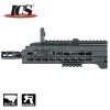 CXP APE Black AEG ICS