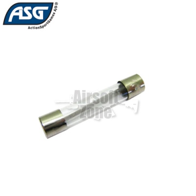 30 Amp Glass Fuse for AEG ASG