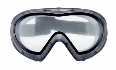 Capstone Dual-Lens Clear Protective Googles Strike Systems ASG