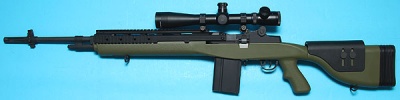 M14 DMR Foliage Green with Scope AEG G&P