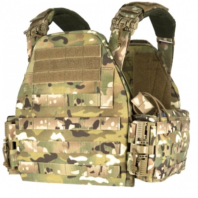 Plate Carrier TV-102 SBS Multicam WARTECH